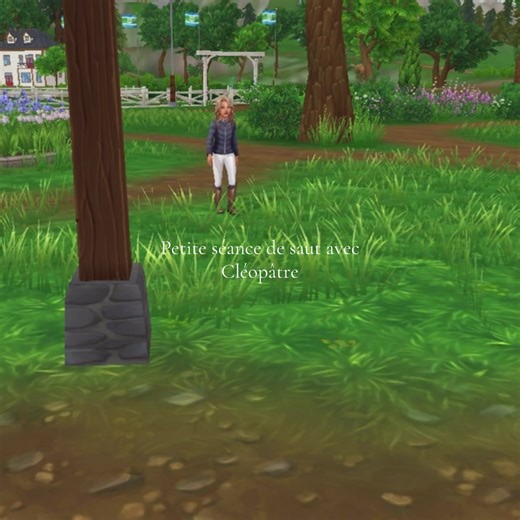 Petite séance de saut avec ma cleo #starstable #sso #rrp