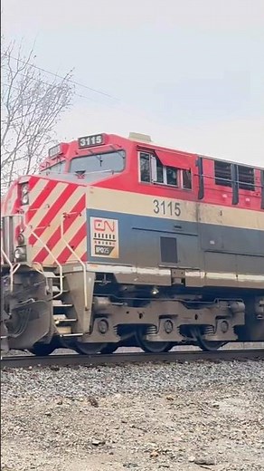 BC Rail heritage unit trails on CN M302