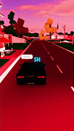 First Time Playing Brookhaven