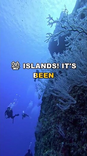 Discover the Great Barrier Reef: Nature's Masterpiece