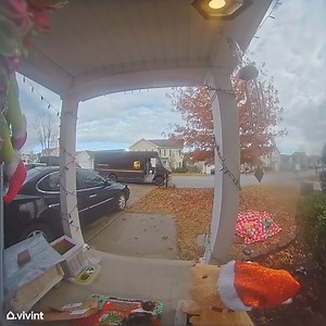 189K views · 2.7K reactions | ADORABLE ❤ This UPS delivery man gave one stray kitty in Lexington some extra love when dropping off Christmas packages. Thanks to Melissa for sending us this video. "What an awesome guy. We need more people like this in the world," she said. | WIS TV | Facebook