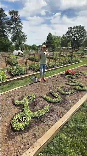 Garden Activity for Kids | Burpee Seeds, Plants & Supplies