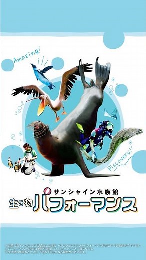 Amazing Animal Performances at Sunshine Aquarium #shorts #aquarium