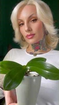 🪴mini phalenopsis care guide📖🌸✨ #phalenopsis #orchid #orquideas #난초 #orchidcare #garden #orchidee