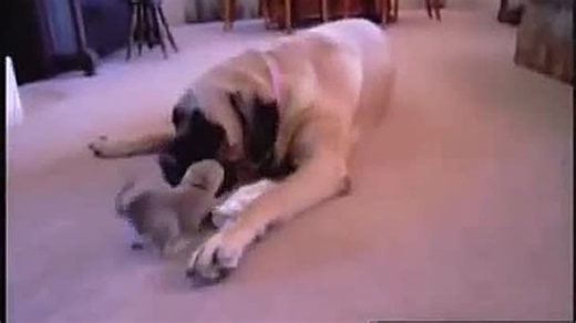 VID-20180423-WA0018.mp4