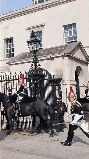 King's Horse Duty Unveiled 😳 How Long Do Horses Stand at Horse Guards?
