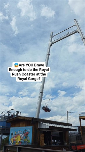5.1K views · 28 reactions | The Royal Rush Skycoaster at the Royal...