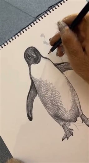 Golden Retriever Sketches a Penguin — Crowd Stunned! 🐕🐧