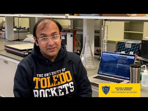 Day in the Life of a Graduate Student: Bioinformatics Program