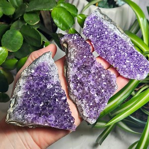 Raw Amethyst Cluster: Natural Crystal Specimen, Home Decor - Etsy