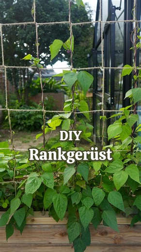 Rankpflanzen wollen klettern, Licht bekommen, Luft um sich haben 🌱 und genau dann schenken sie dir deutlich mehr Ertrag auf derselben Fläche 🙌🏻 Anzeige | Mit einem stabilen Rankgerüst nutzt du dein Beet vertikal statt nur horizontal. Das bedeutet für dich: ✨ gesündere Pflanzen ✨ bessere Luftzirkulation ✨ weniger Fäulnis ✨ mehr Ernte Und das Beste? Du brauchst nur wenige Materialien und kannst es ganz einfach selbst bauen. Die komplette Anleitung inkl. Skizze und genauer Maße findest du in mei