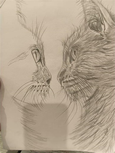 the alien song #spotify #art #kerrieclarke #cat #sketch