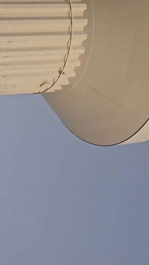 Uvalde Downtown Peregrine | Robert F. Rasa | Facebook