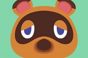 Team 47 - Animal Crossing New Horizons - Field Guide