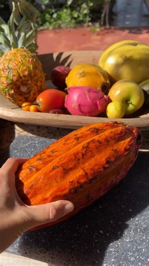 9.2K views · 148 reactions | How many fruits can you name? Tropical fruit from Miamifruit.org  #fruit #miamifruit #tropicalfruit | MiamiFruit | Facebook