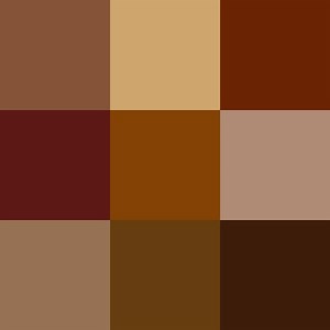 Shades of brown - Alchetron, The Free Social Encyclopedia