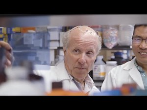 Beta Cell Regeneration Study