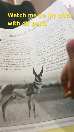 Third grade math!(homework)