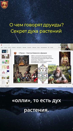 Друиды и духи растений: что такое олли растений? #друиды #олли_растений #дух_растения