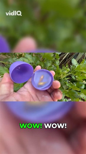 Yummy, Aha! & Oh My God! Cute Reactions!