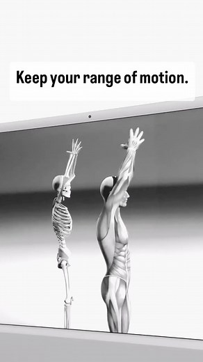 741K views · 33K reactions | Fix yourself. Improve posture. Become stronger. Move from pain to performance. Everyone that learns the Shoulder Trace loves the Shoulder Trace. Learn it and more at FTstreaming.com | Foundation Training | Facebook