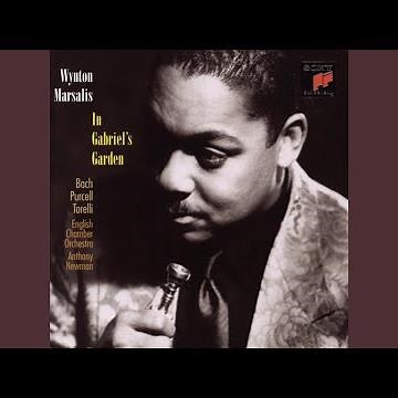 Sonata No. 2 in D Major for Trumpet, Strings and Basso Continuo: I. (Overture) . (Grave) - Allegro