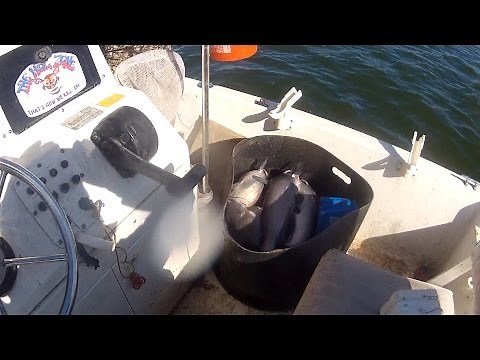 Catfish Trot Line, Full Video, Go Pro