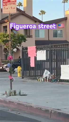 Street life in USA | 𝐕𝐢𝐛𝐫𝐚 𝐬𝐞𝐱𝐮𝐚𝐥