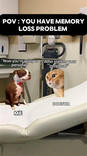 You have memory loss problem#shorts #catmemes #relatablememes #shortsfeed