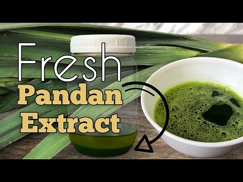 😋 How to make pandan extract from scratch using fresh pandan leaves