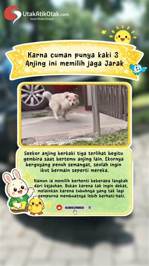 Karna cuman punya kaki 3 Anjing ini memilih jaga Jarak #shorts #dog #dogshorts #trending #animals