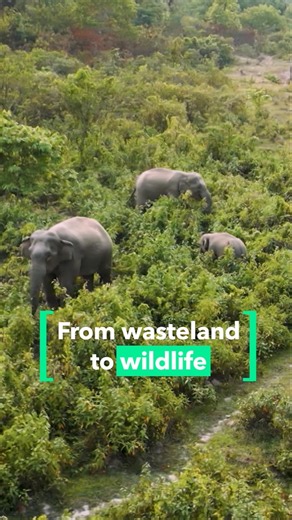 Can private land save nature?