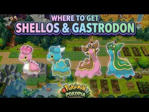 How To Get Shellos & Gastrodon In Pokemon Pokopia