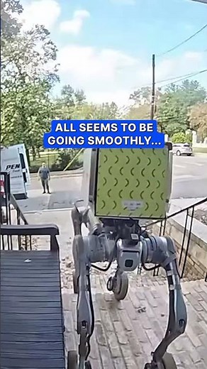 Delivery robot suffers hilarious malfunction