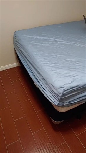 Identifying bed bugs and their bites! #learnontiktok #tiktokpartner