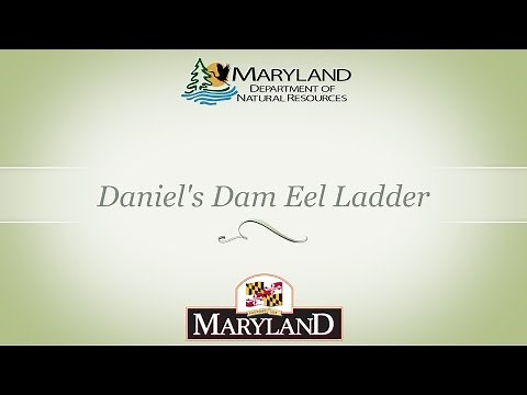 Daniels Dam Eel Ladder - Maryland Department of Natural Resources