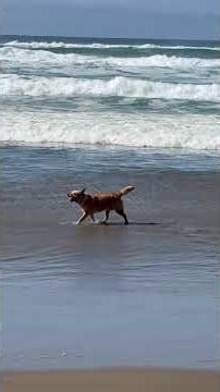 Goodbye September. Welcome October and November!