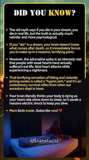 What Actually Happens to Your Brain When You Die in a Dream