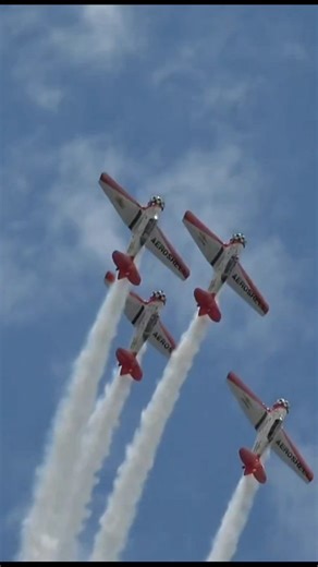 Aeroshell Aerobatic Team at Lynchburg Airshow 📹 horsemoney YouTube Channel #warbird #aviation #warbirds #avgeek #airshow | Rockaircraft