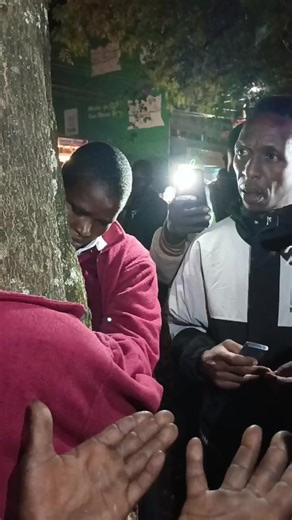 #treehugger #treehugging