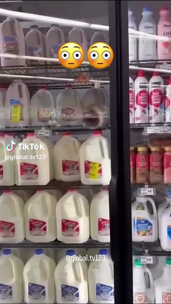 Master splinter to work🤣