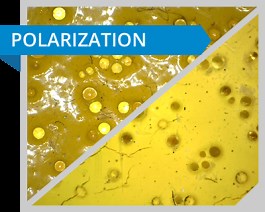 Polarization — Dino-Lite Digital Microscope | Americas