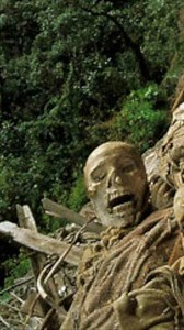 16K views · 301 reactions | Over 200 Chachapoya mummies were found near Laguna de los Cóndores in 1997. Today, they’re preserved at the Leymebamba Museum in northern Peru. #history #mystery #explore #travel | Incredible History | Facebook