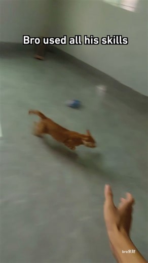 360 no scope #parkour #9gag #orangecat | 9GAG