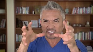 Aggressive dog bites! Cesar Millan explains why