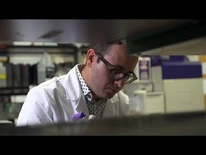 The Postdoc: A key phase in the life of a researcher and a university