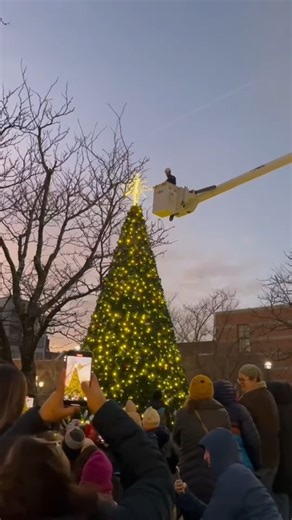 Our Holiday Tree is lit ✨Stop by the Arts Park in the evening to see the dazzling lights 🤩 | City of Allentown