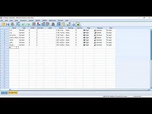 Research for Beginners EP1: Creating Variables in Variable View, a ready-made statistics program