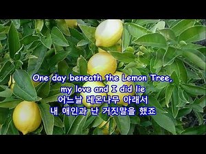 Lemon Tree - Peter, Paul & Mary: with Lyrics(가사번역) || 레몬 트리