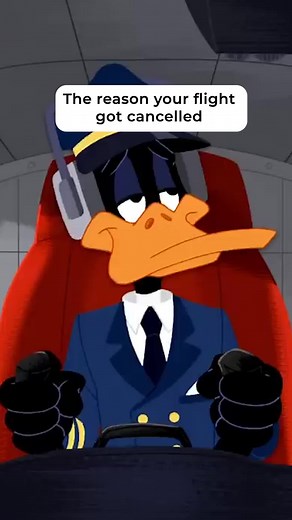 the budget airline experience